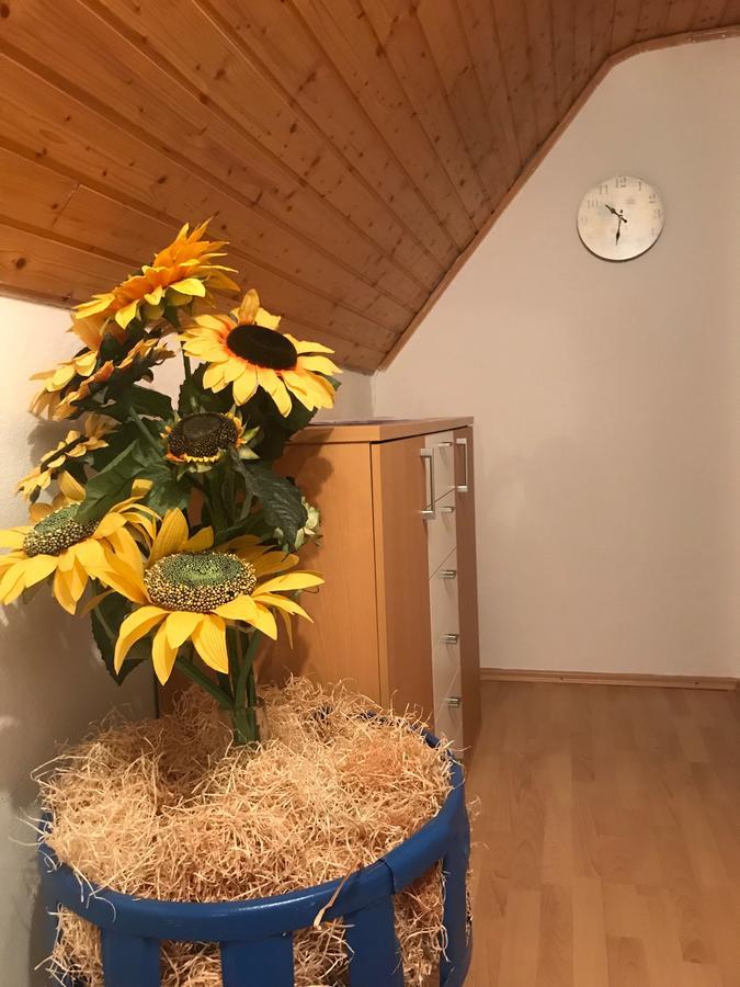 Kogelhuber Apartment Possnitz Luaran gambar
